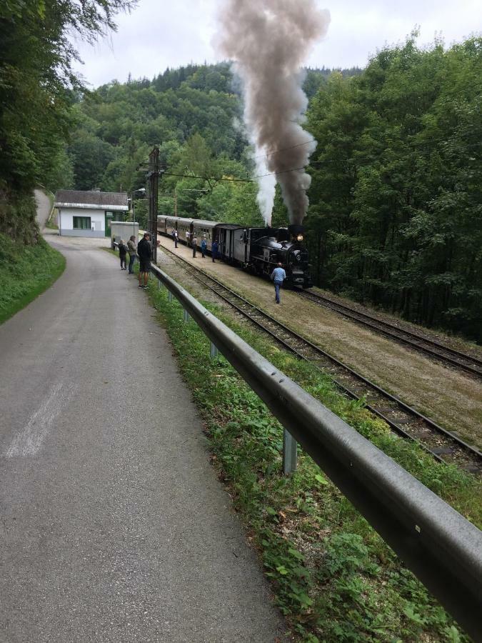 Das Landhaus Puchenstuben Buitenkant foto