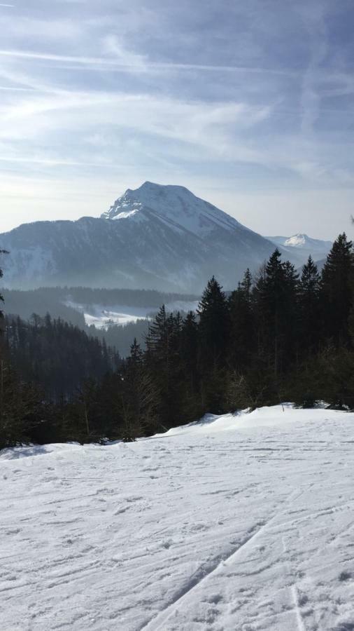 Das Landhaus Puchenstuben Buitenkant foto