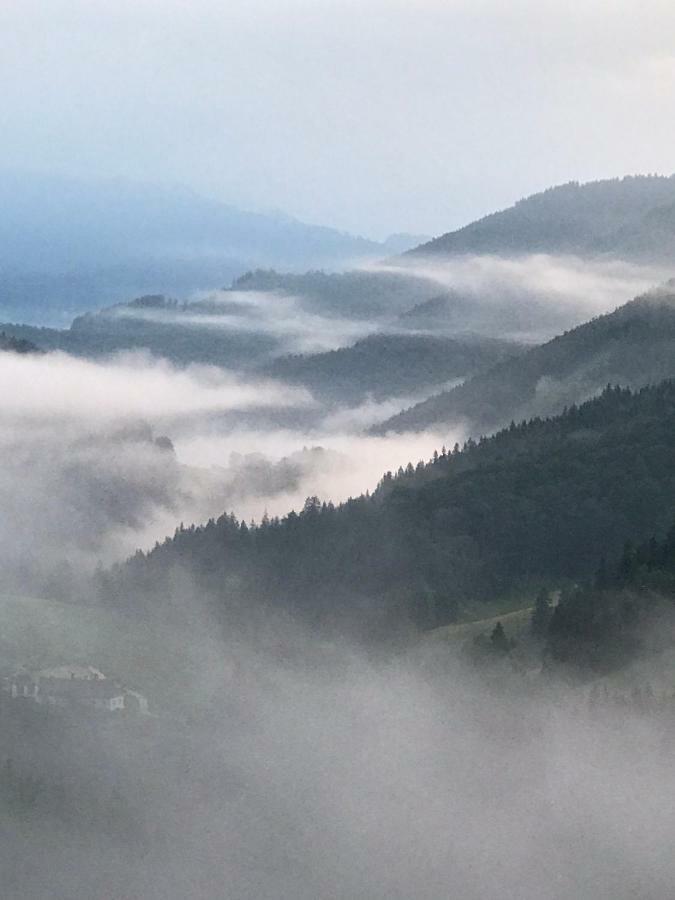 Das Landhaus Puchenstuben Buitenkant foto
