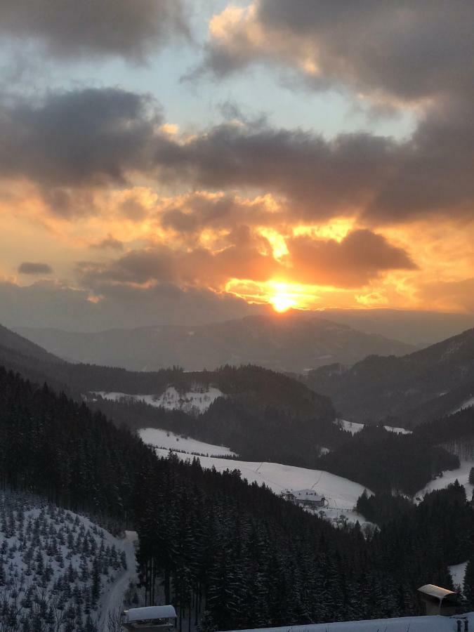 Das Landhaus Puchenstuben Buitenkant foto