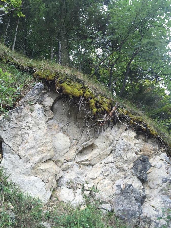 Das Landhaus Puchenstuben Buitenkant foto